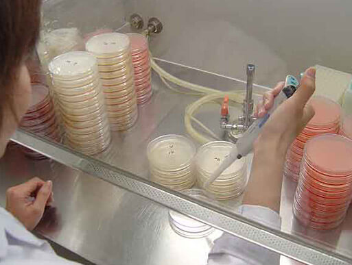 微生物検査
